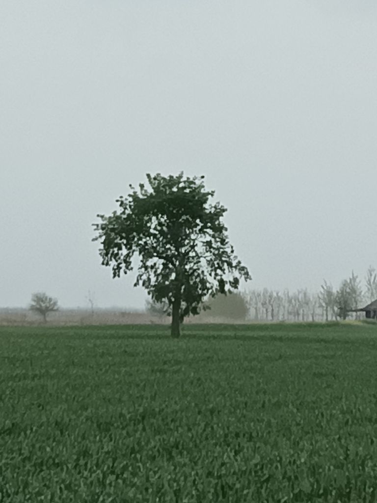 20250329131053front2_0_341963_Fkr3JuBMh5Lo2f6lqg2gRiS_MExF.jpg