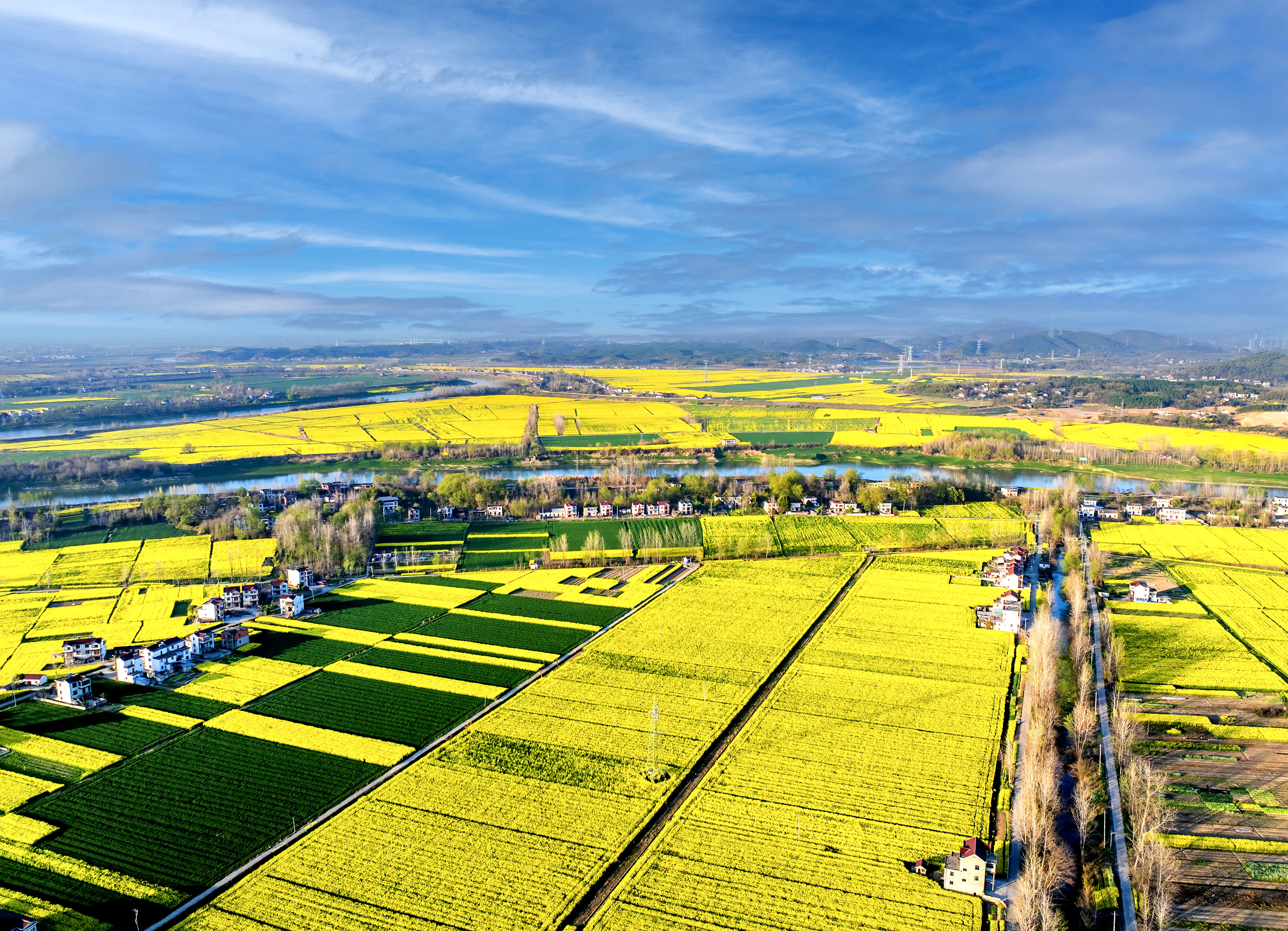 DJI_20250325173627_0021_D.jpg