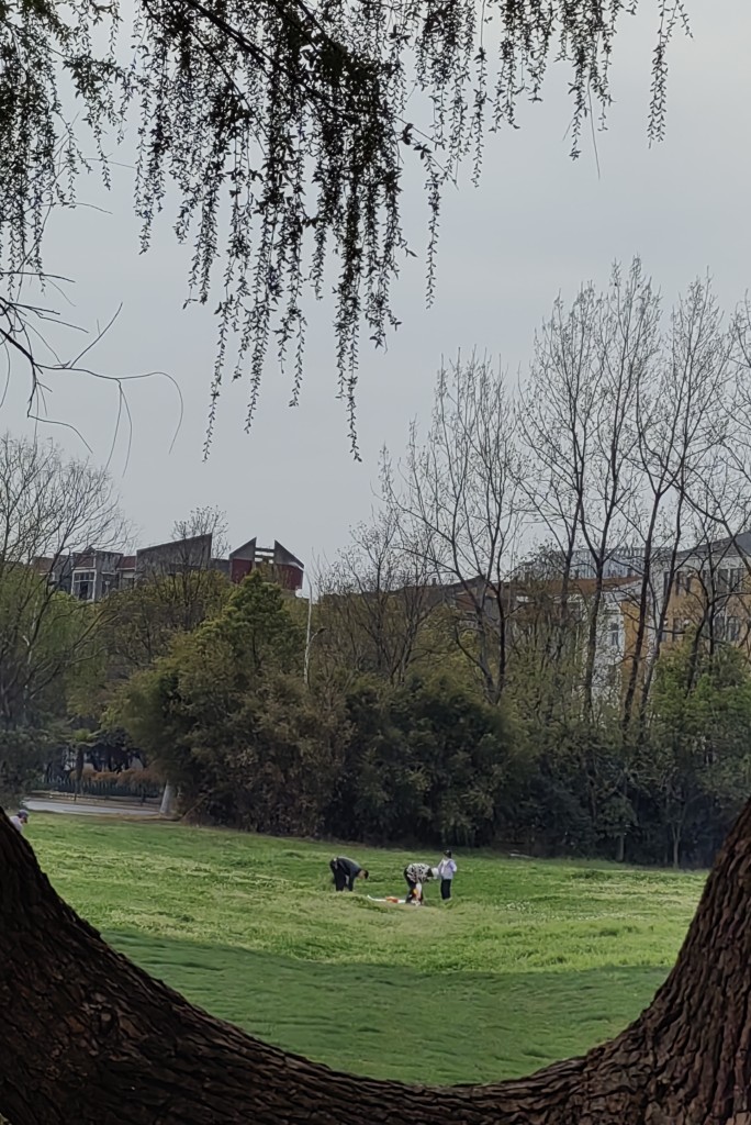20250331080342front2_0_198517_FmEdeGPpn0aM3gClaSgX_JQ6lDUQ.jpg