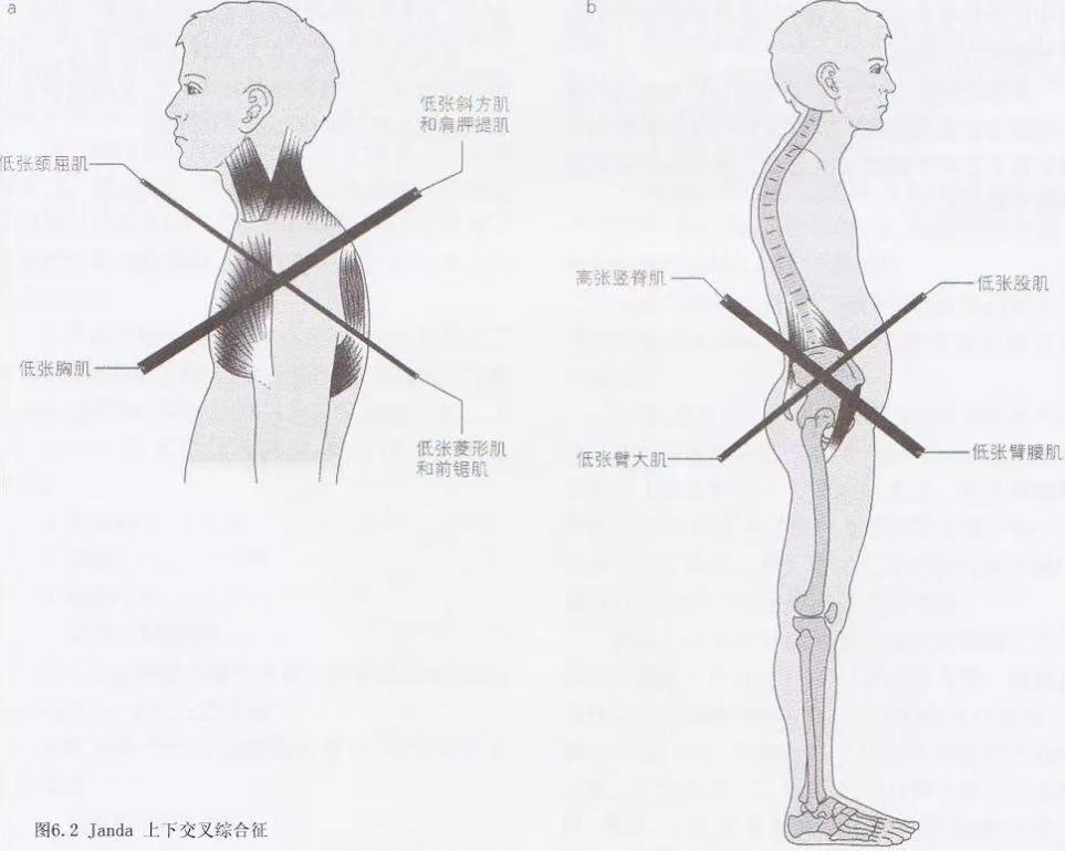 微信图片_20250419220959.jpg