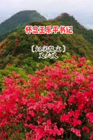 QQ_1745164436192.png
