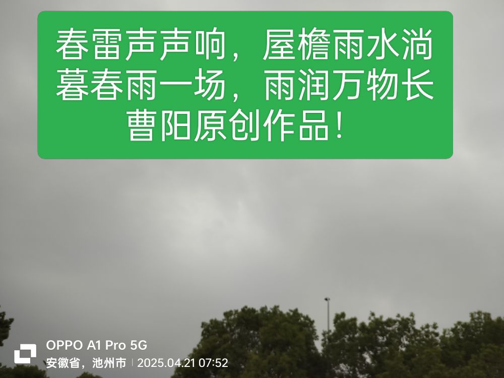 20250422075049front2_0_294866_FrTZ7Hv0rvzzLmkfg_tcSBZQ2-dg.jpg