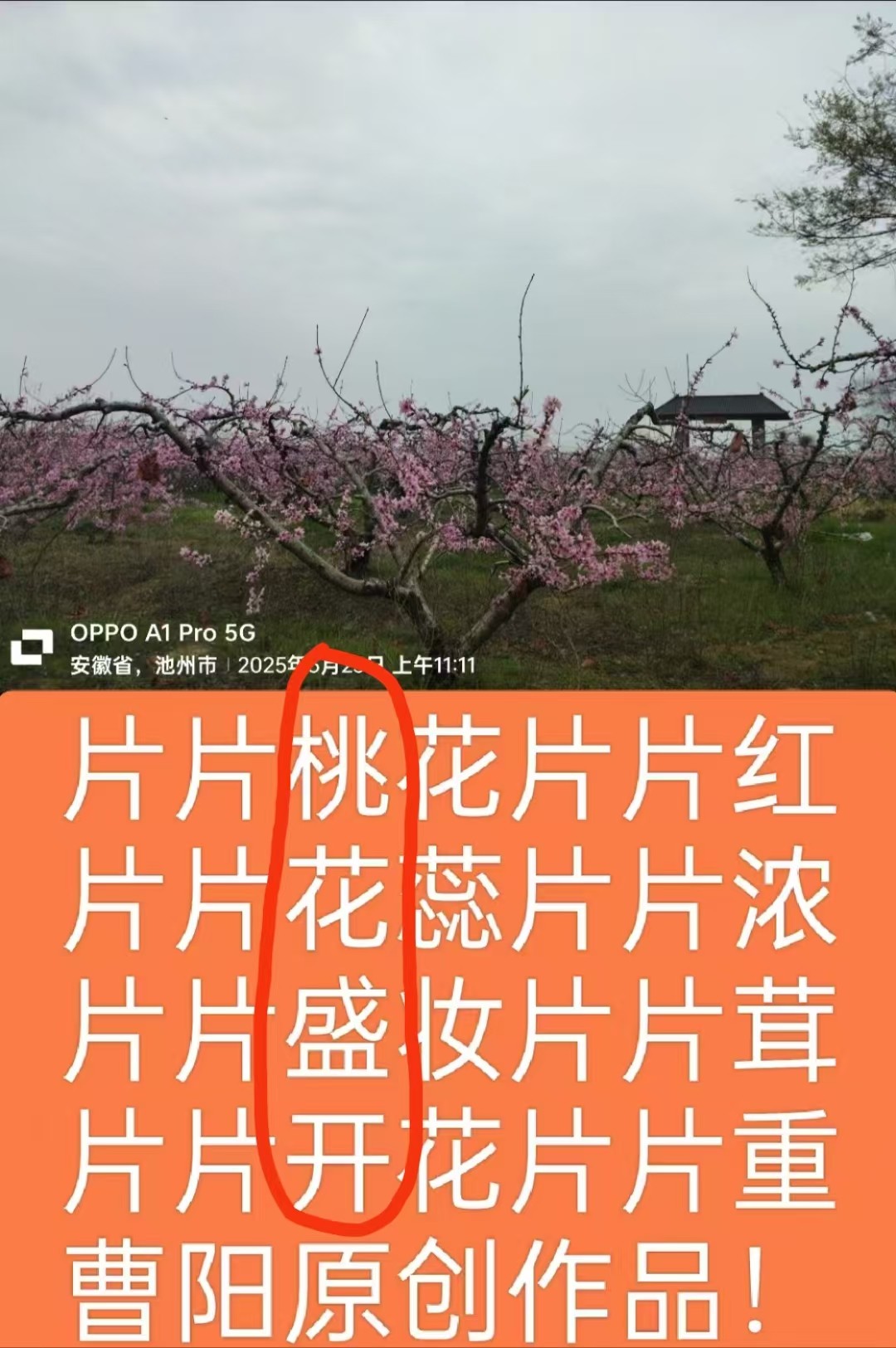 20250422075048front2_0_294866_Fk9LercCKECXlz71LNI0t0fnnpRm.jpg
