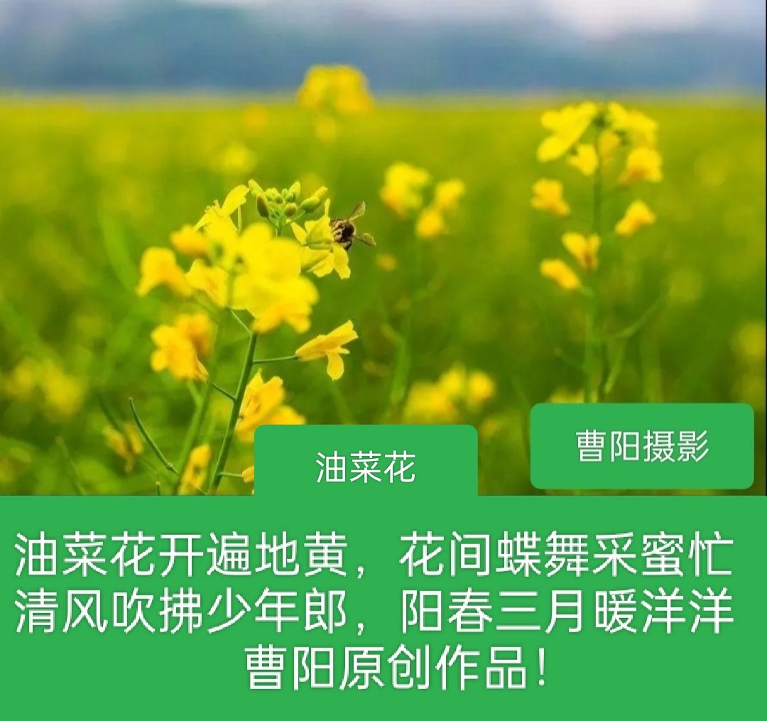 20250422075048front2_0_294866_FtS9f9KyJG63VTpgk0gBYepCEGN1.jpg