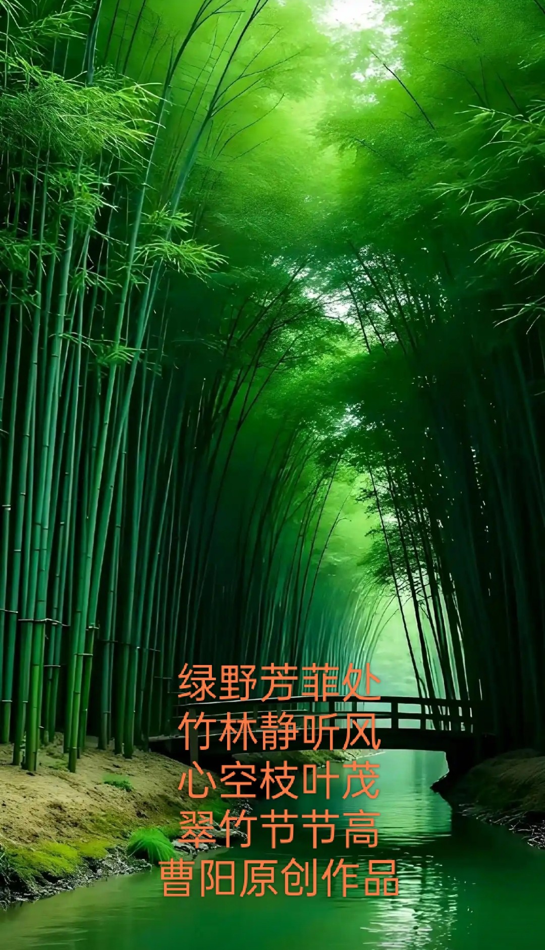 20250422075049front2_0_294866_Fh5VVbhkVkKRCI9MgpzVojTJc6Yd.jpg
