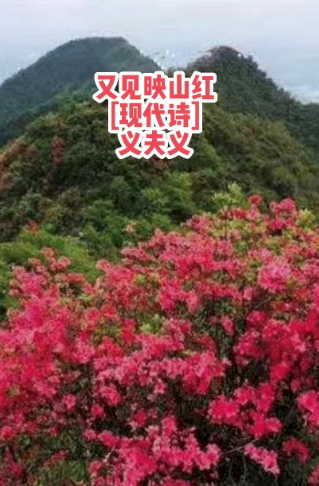 840164bd73dc0fa6653417e074fd9be8.png