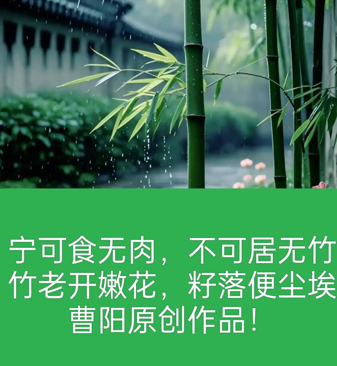 20250502112844front2_0_294866_Fq0hDMXbbwuw2Vr9L8bZm31W8uqx.jpg