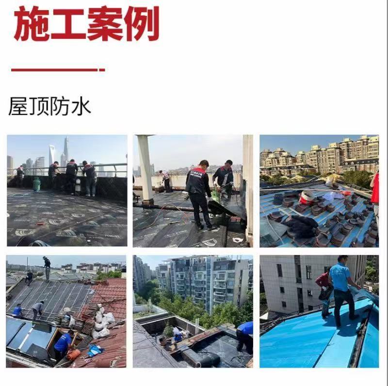 20250504163448front1_0_409183_FmNcX3L8CiZV8Q6Ksmk0Ta4DIauc.jpg