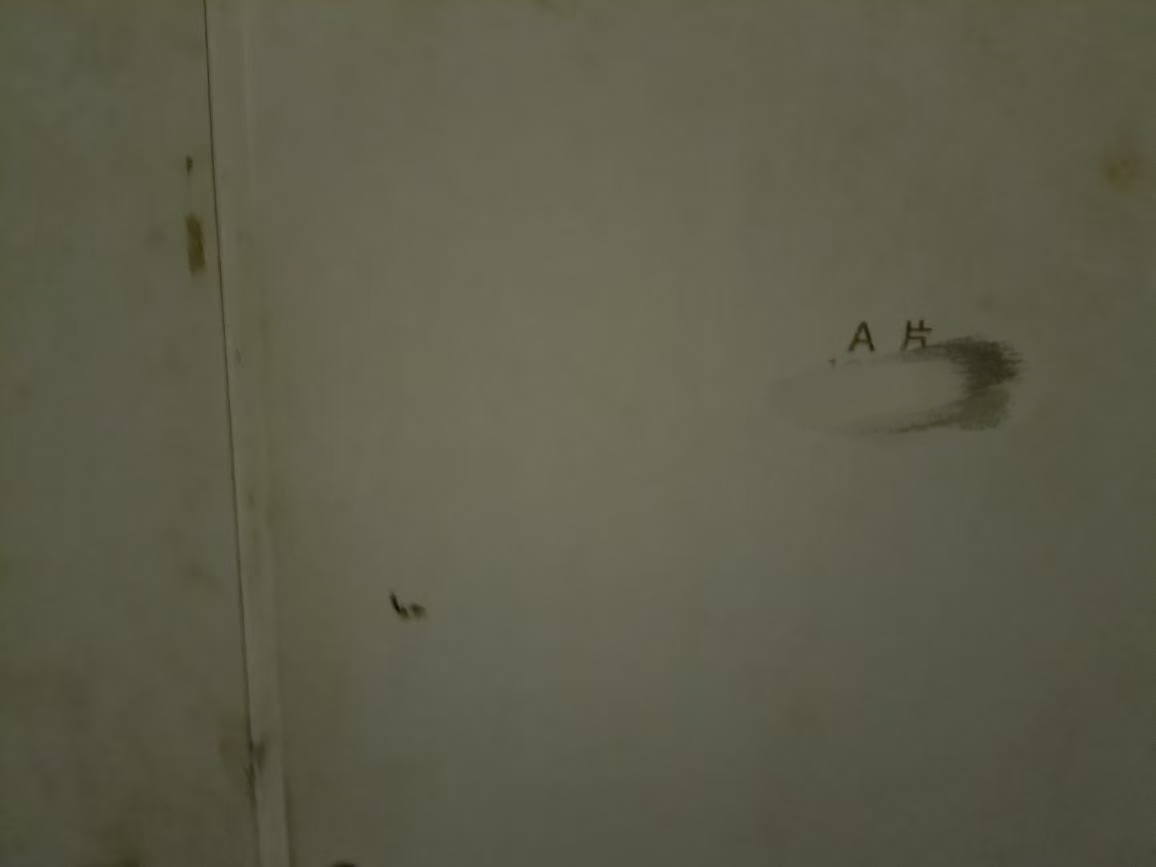 mmexport1747617810973.jpg