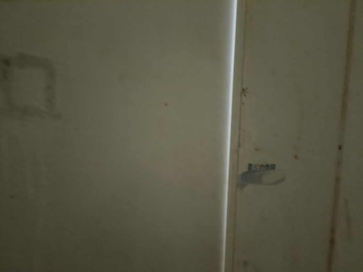mmexport1747617801164.jpg