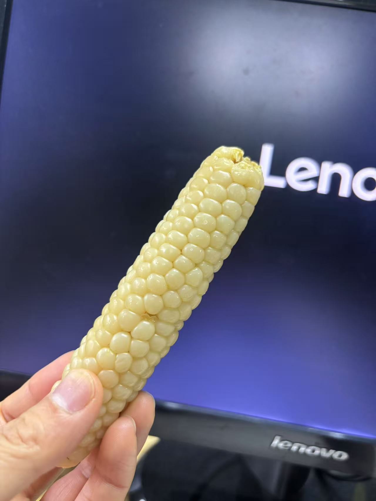 174771110889222672.jpg
