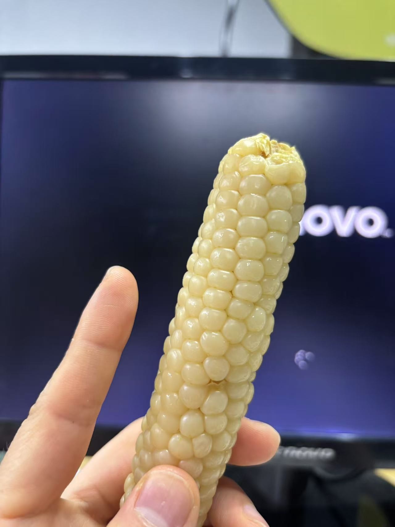 174771110869327958.jpg