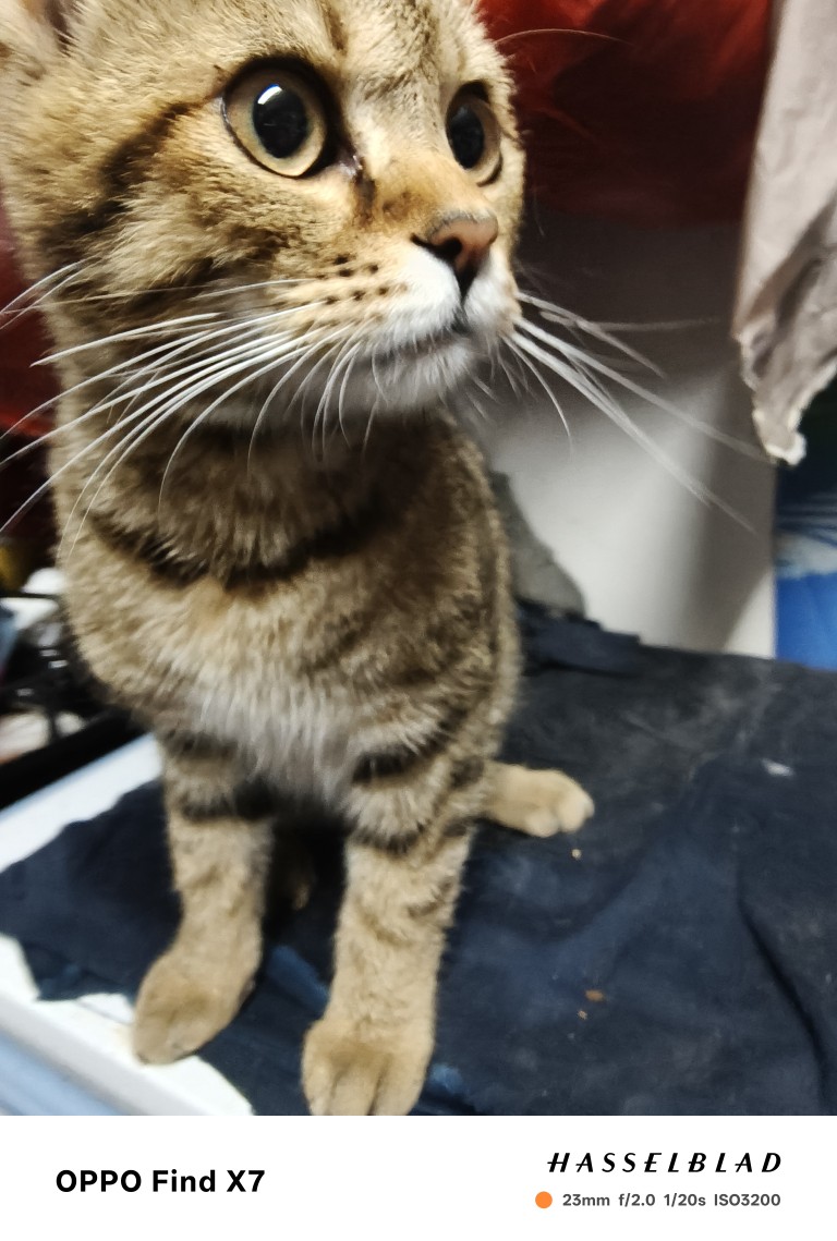 20250525074011front2_0_355588_FpNUywcAT71cGjC66T7zoU0vC2kw.jpg