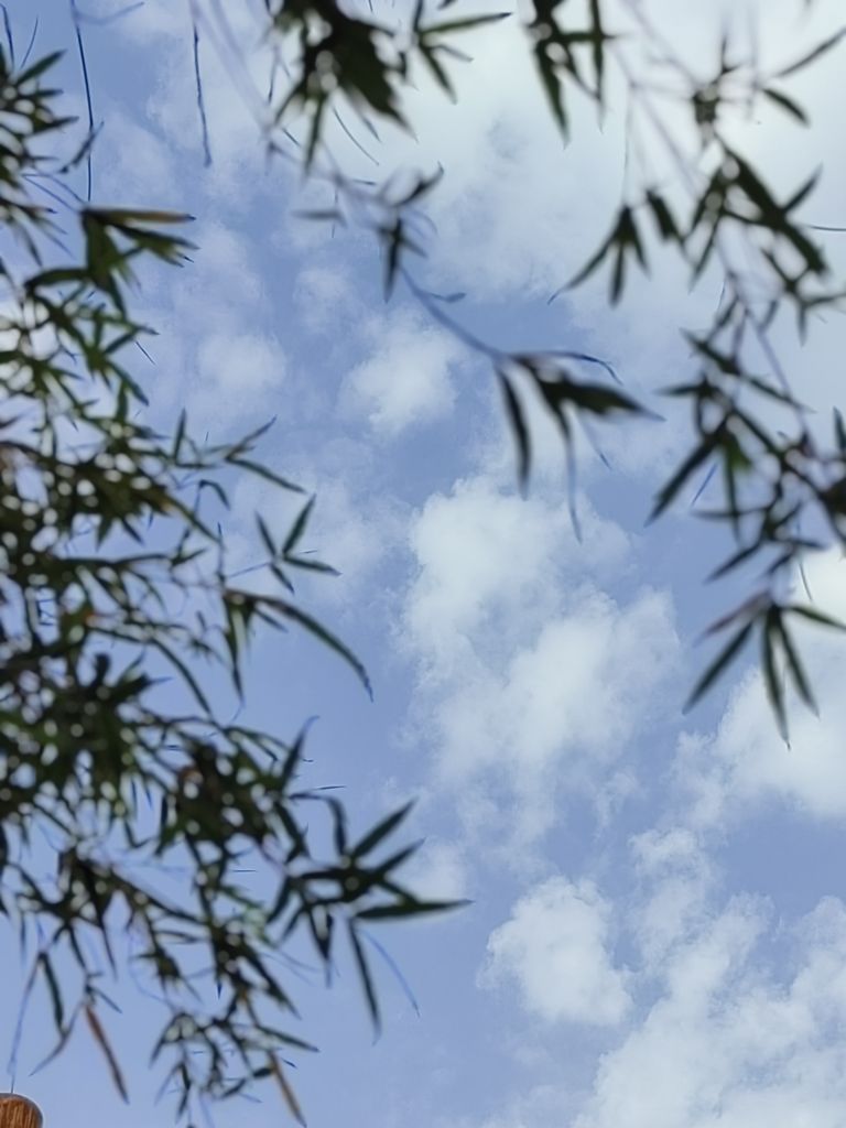 20250526042159front2_0_198517_FhdhyYGu-6dNtTjYKpnGD9C-JpJp.jpg
