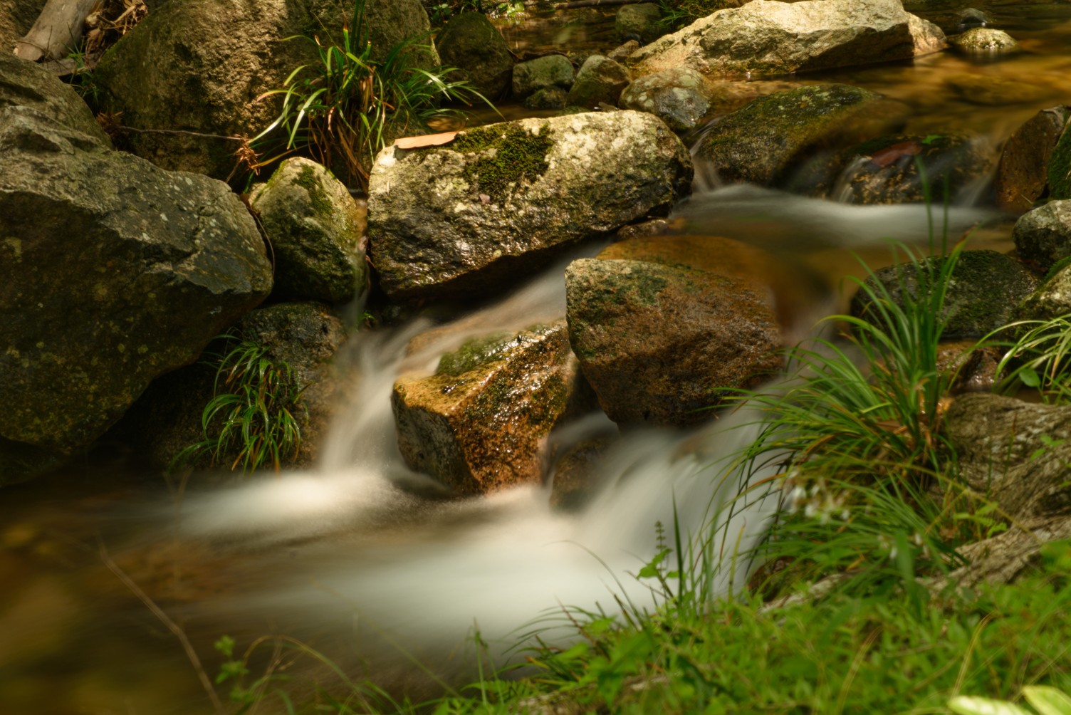 20250528020128front2_0_390386_FvSrCW3xVR_E95Uq8lVX4aJd_Q2c.jpg