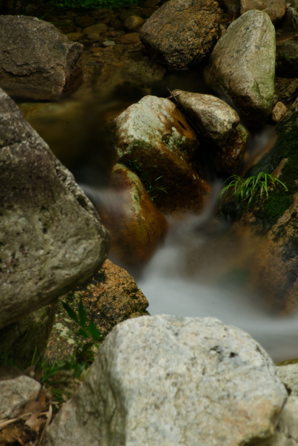 20250528020128front2_0_390386_FjPO2ry5qAWzVI3VdjtzlqRFRZv-.jpg