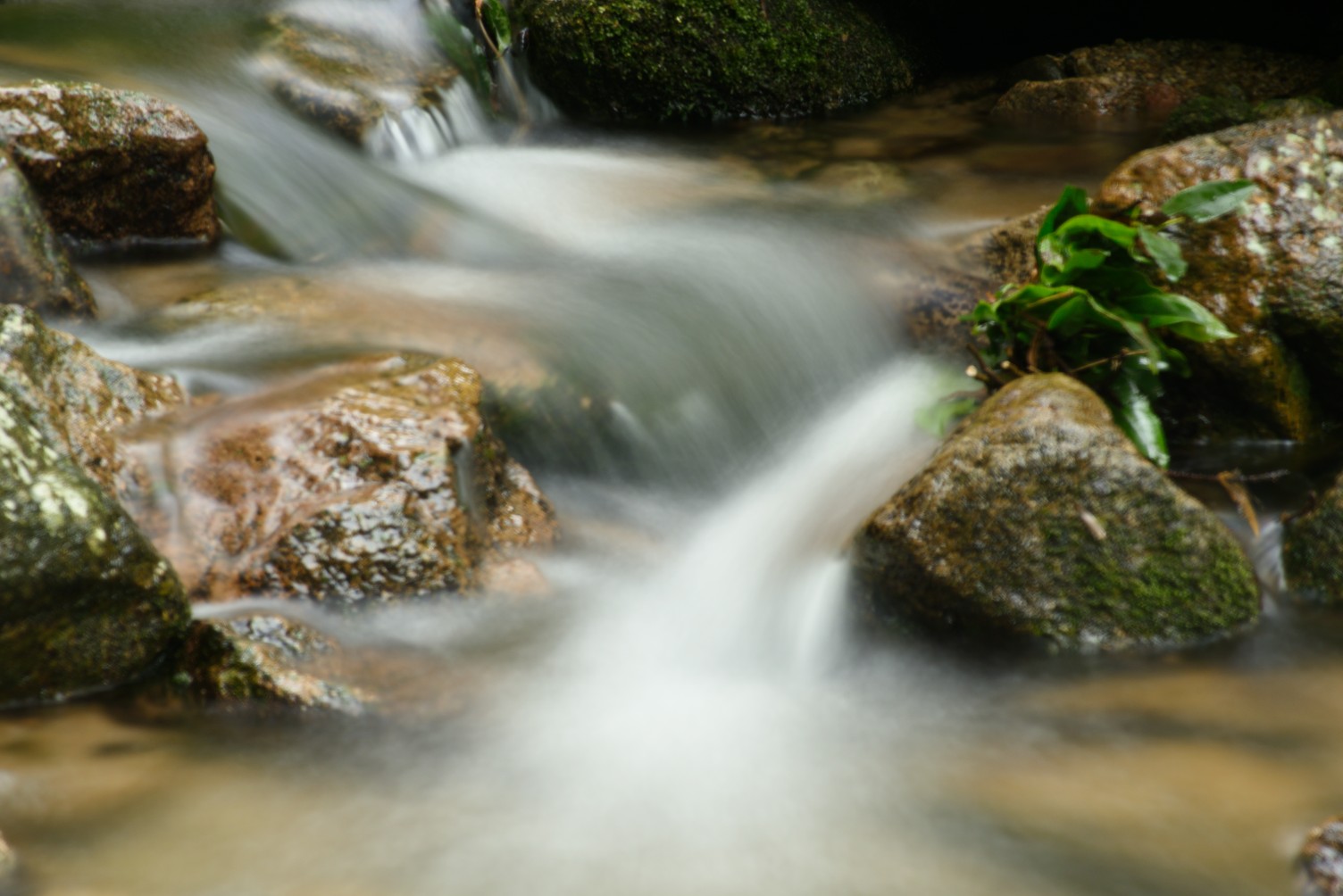 20250528020128front2_0_390386_FursreVa_Ig0V4ndagr-J41dZyr4.jpg