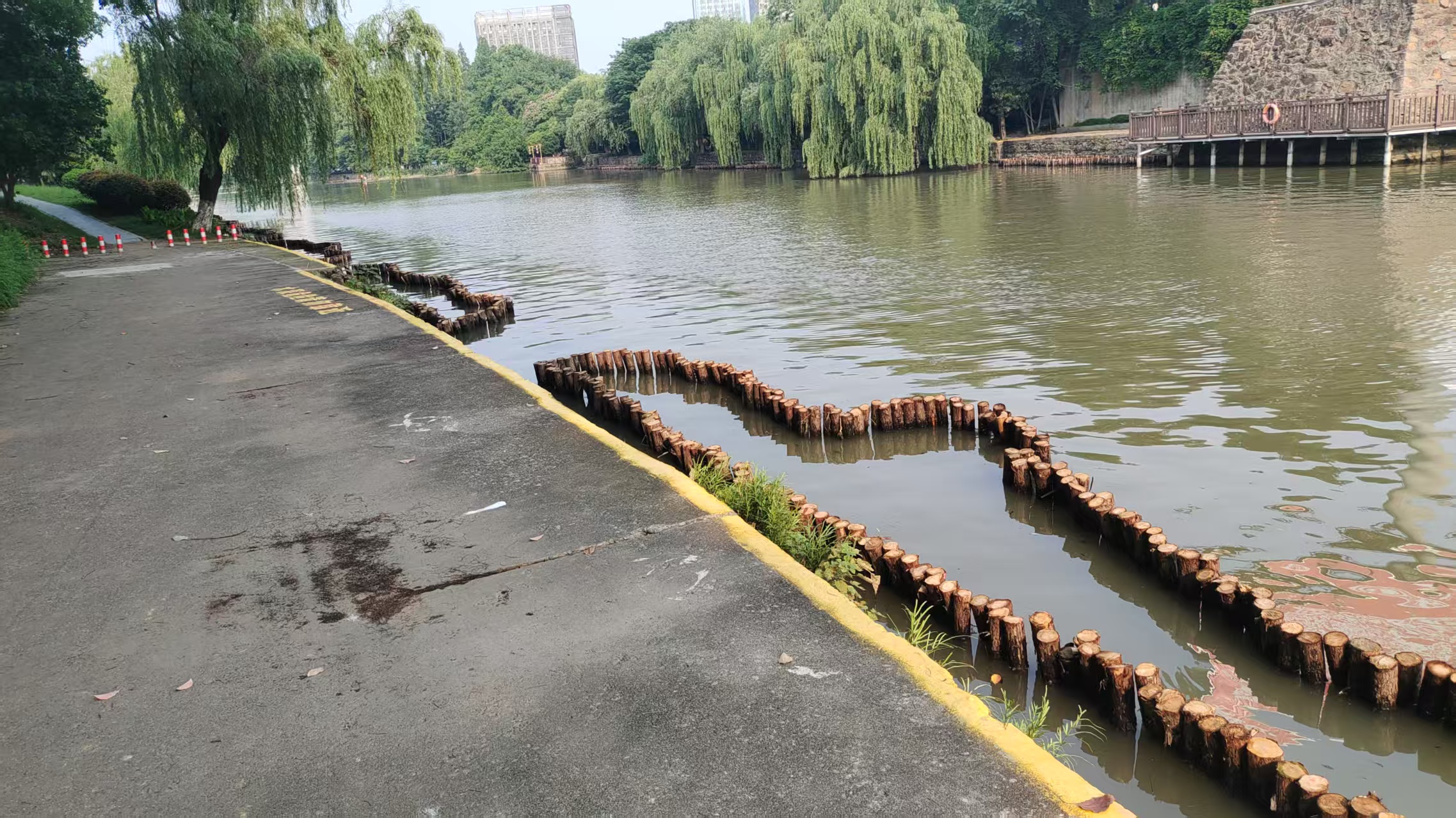 微信图片_20250530080654.jpg