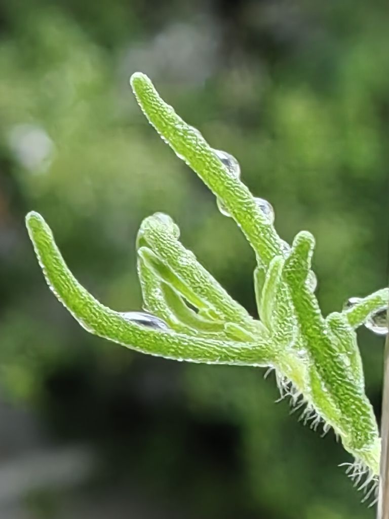 20250602060404front2_0_198517_FnaE3_mANukLFpzNI0pb7DItOeMn.jpg