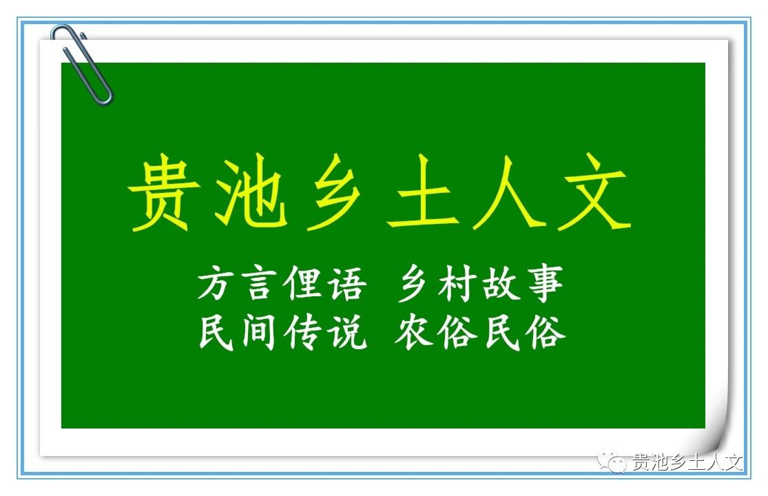 20250603232858front2_0_96797_FlJWcuTC6OhE_ShjgioTVLx-L88m.jpg