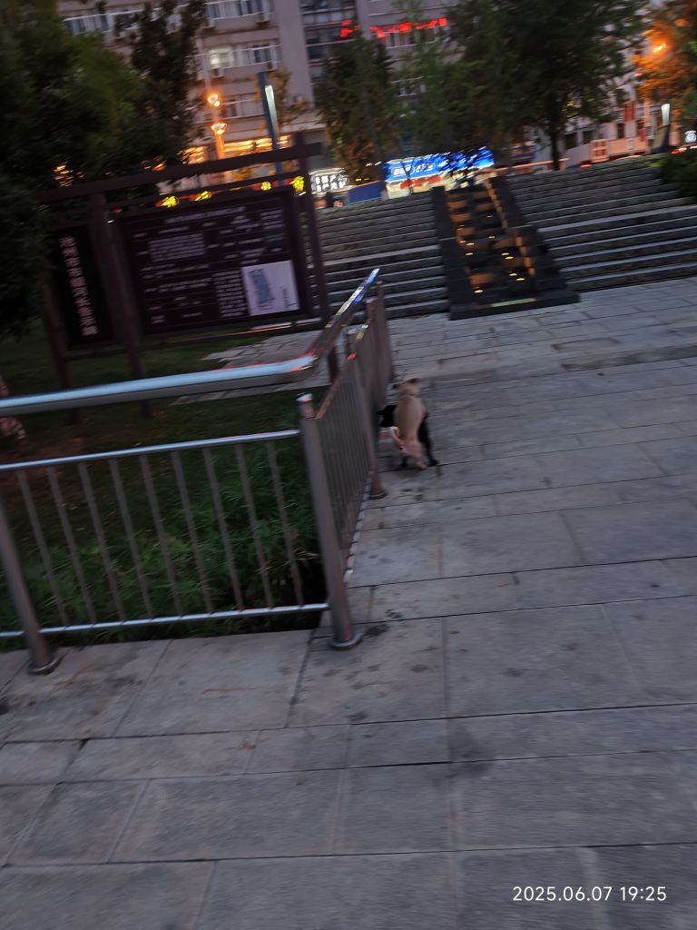 20250607192835front2_0_302190_Fp-nn2pz0V2VBjqO73m2HdJUuq4l.jpg