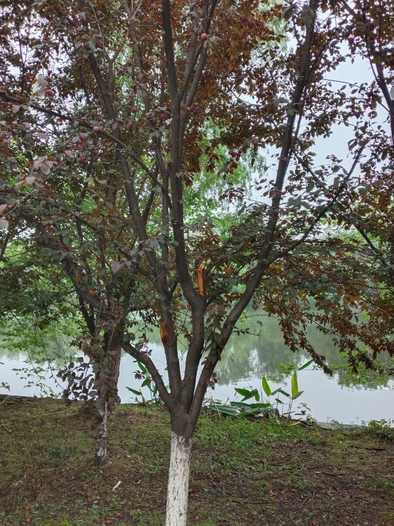 20250609123622front2_0_247149_FjgHpLEJRI3SGBtxqCbYLX5sm8e7.jpg