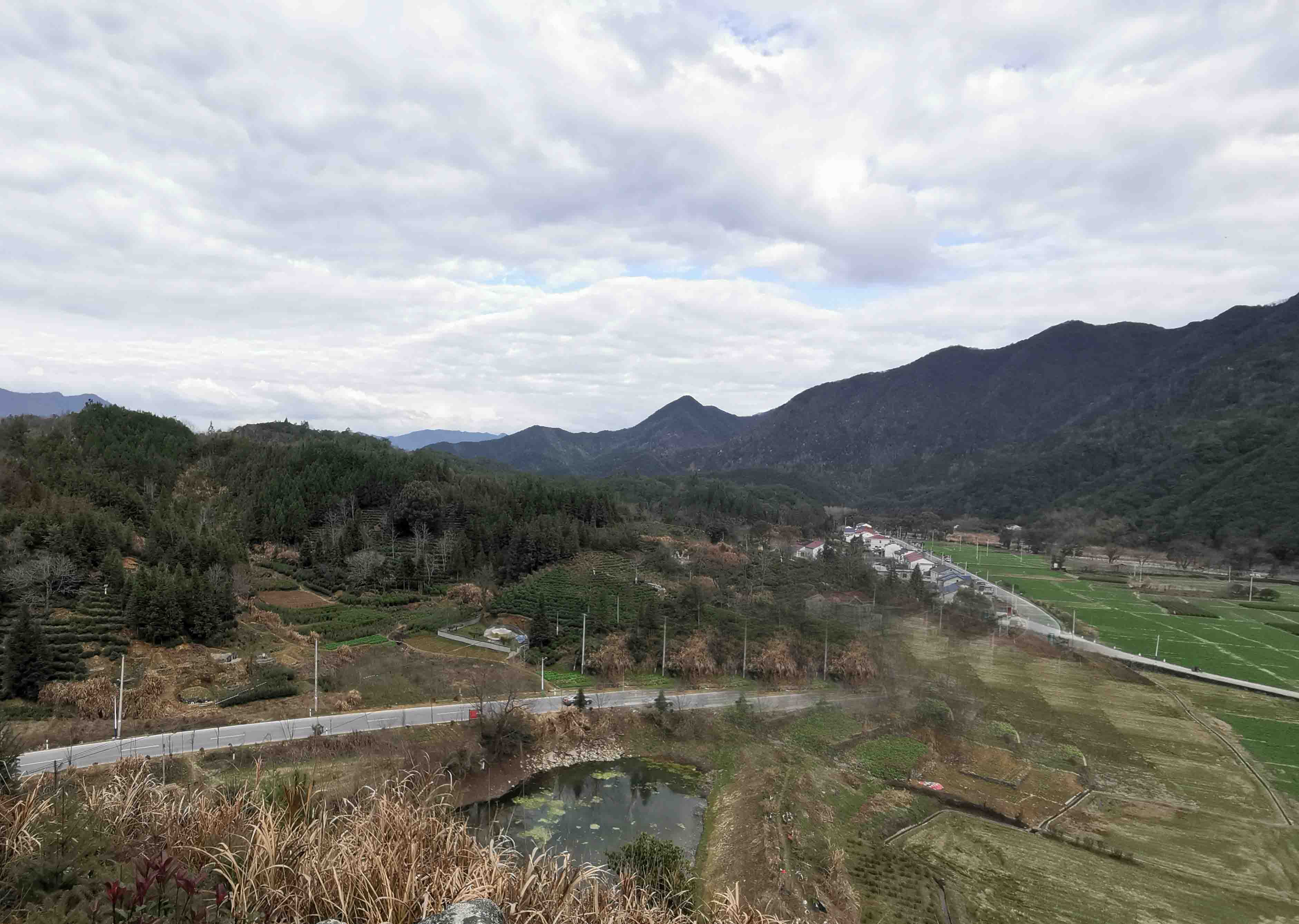 远望乌珠树村