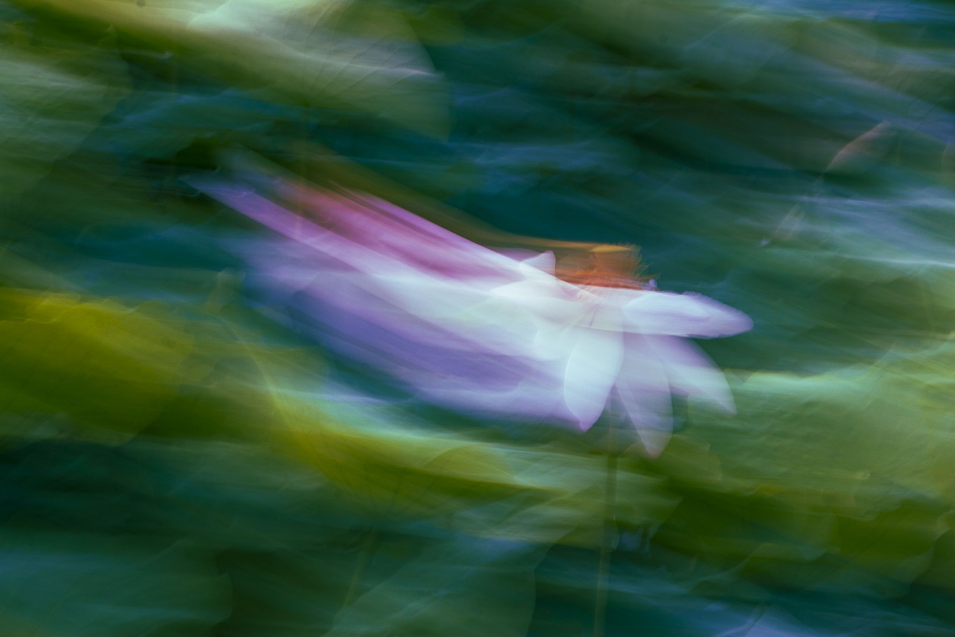 20250617205122front2_0_89981_Fja0S2d6zFKCsgcbj9yvYrVcMajG.jpg