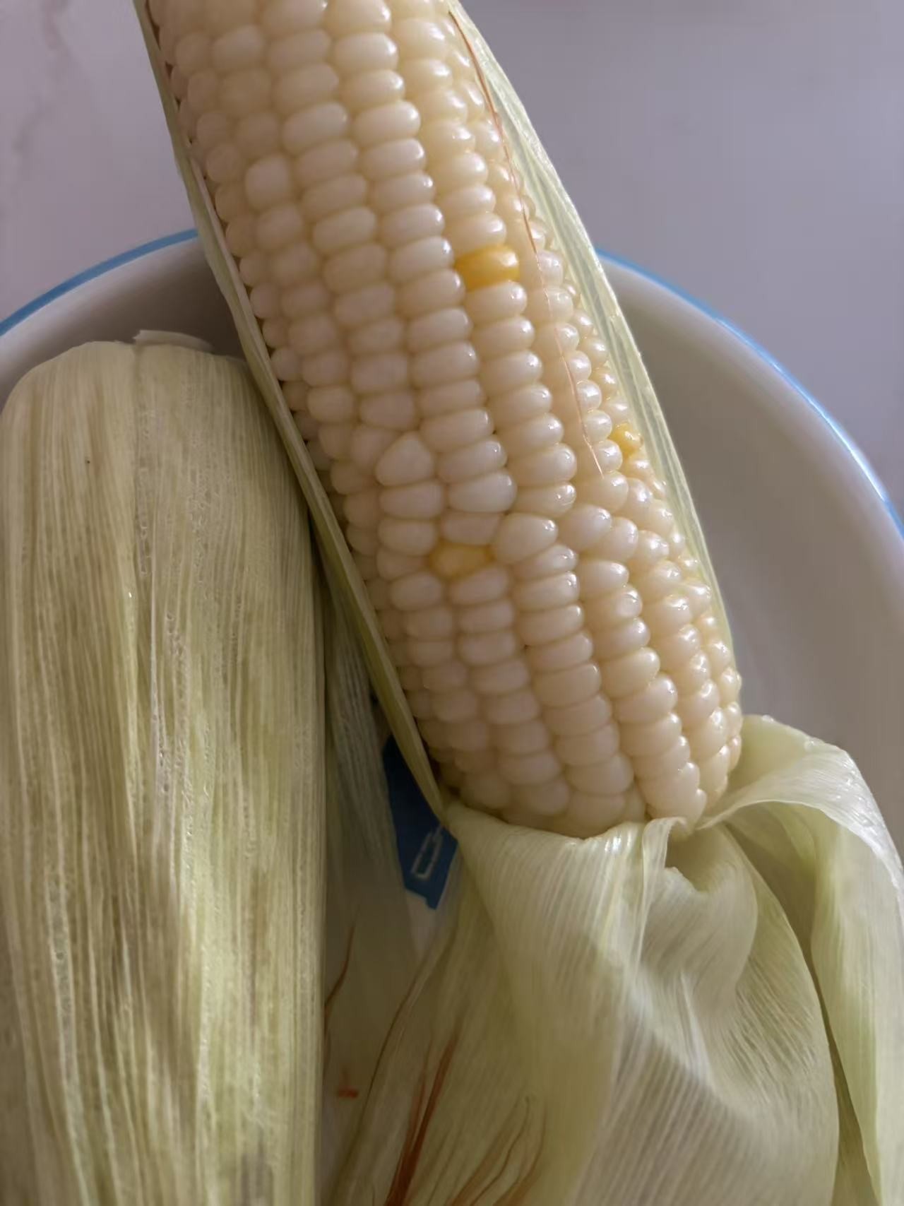 175021419263984329.jpg