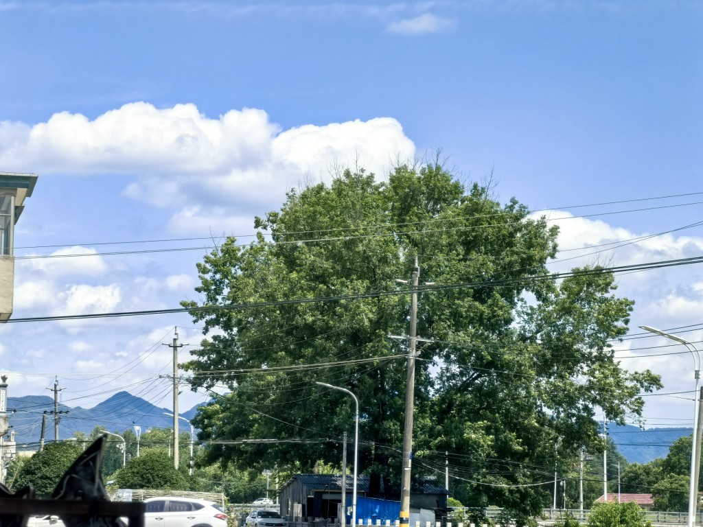 20250618152454front2_0_404422_FtShLv32_YkhjJ7mm0A8UvfFZncx.jpg