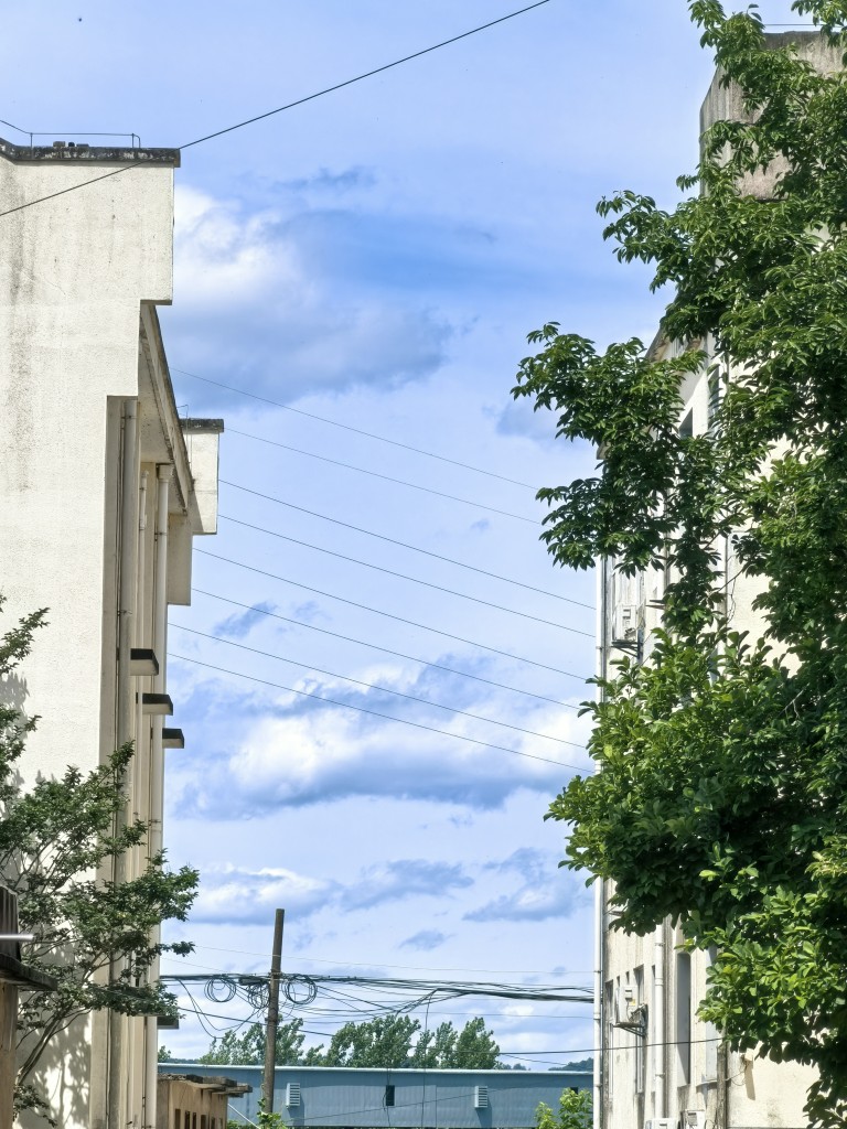 20250618152454front2_0_404422_Fr9b_030txSRLknitGOXfzu4zHKO.jpg