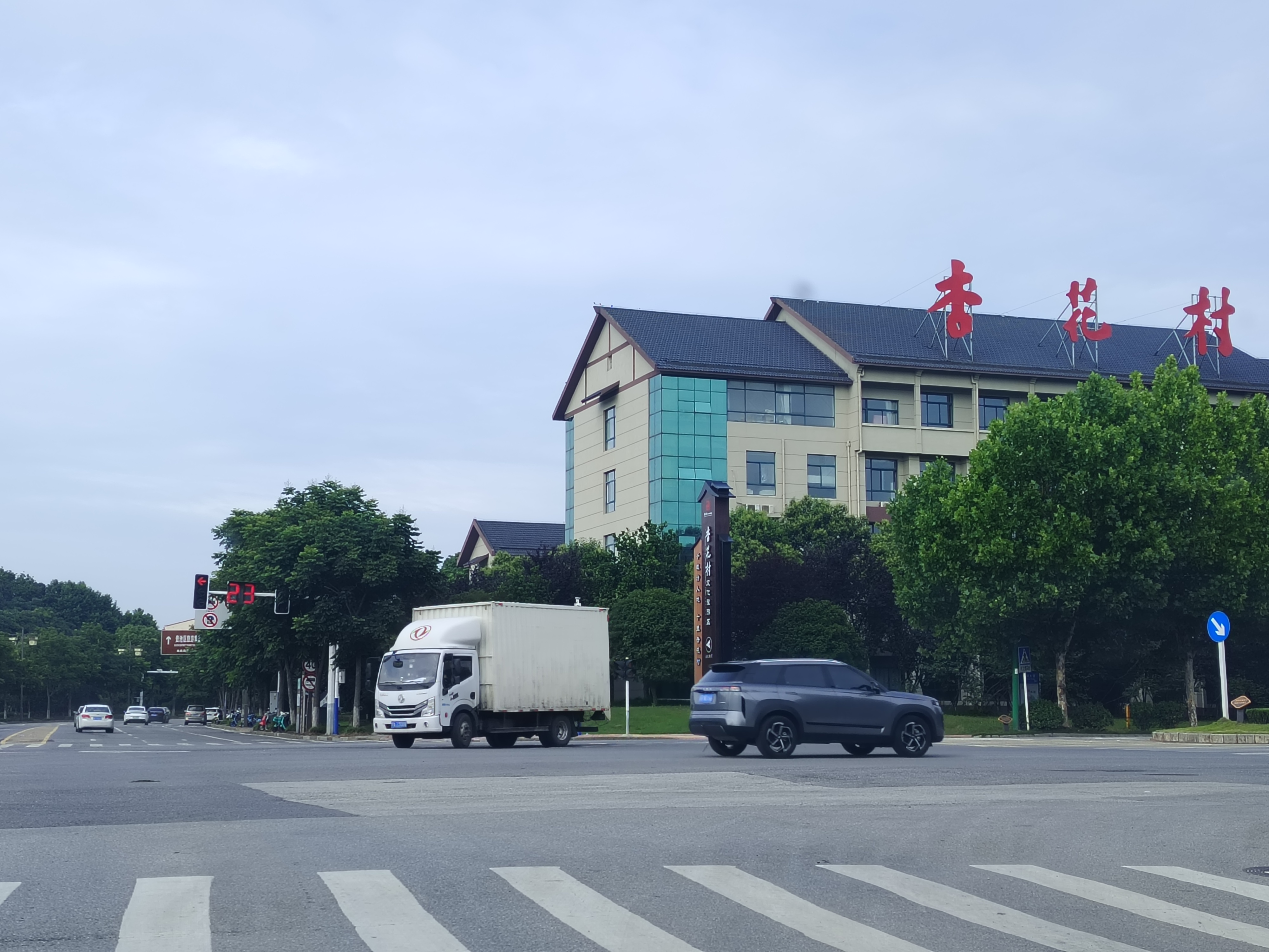 红绿灯被树叶遮挡