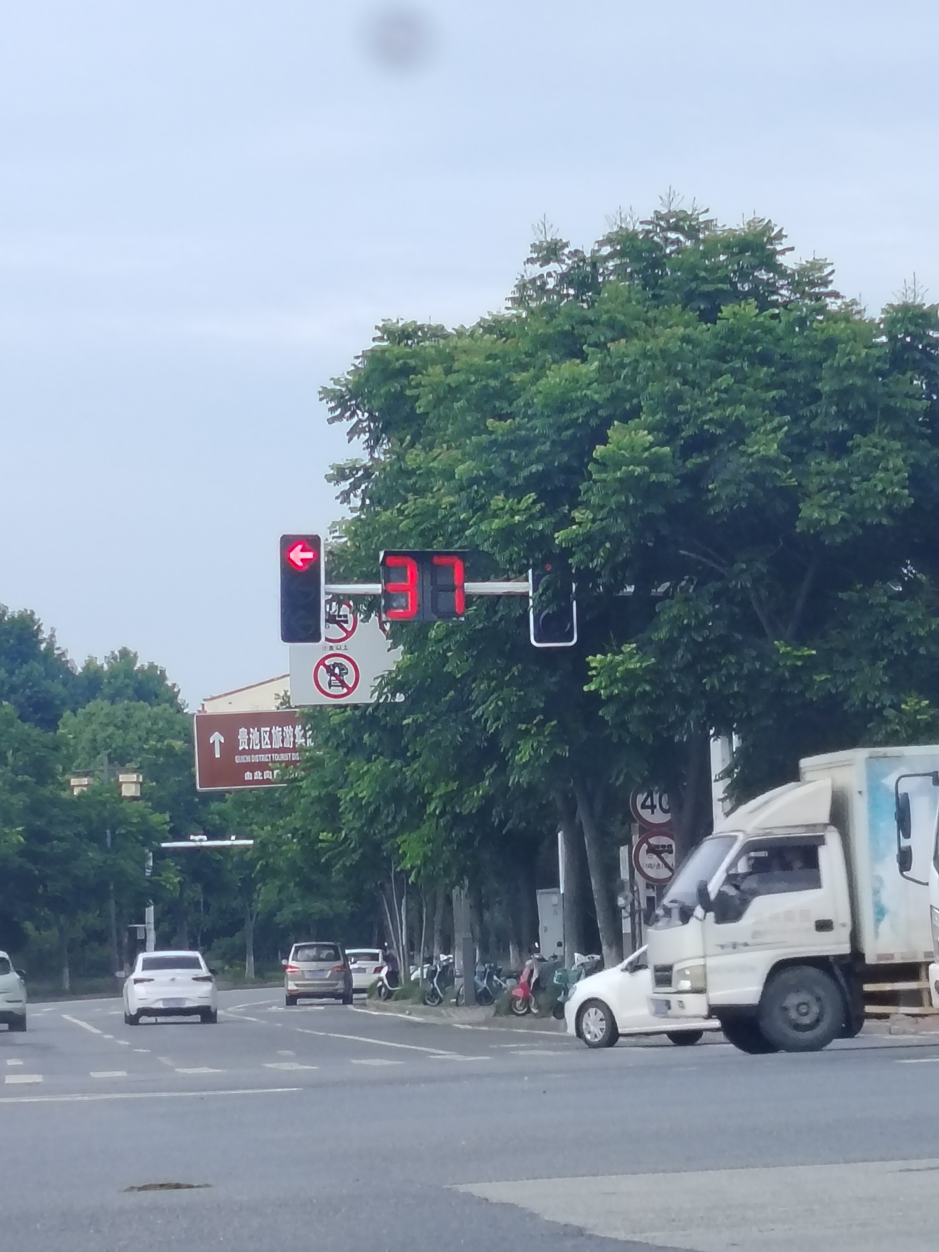红绿灯被树叶遮挡