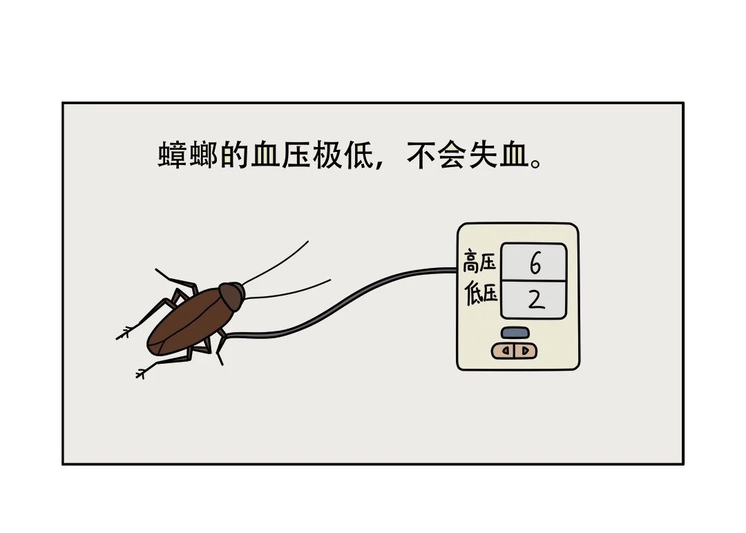 微信图片_20250629191211.jpg