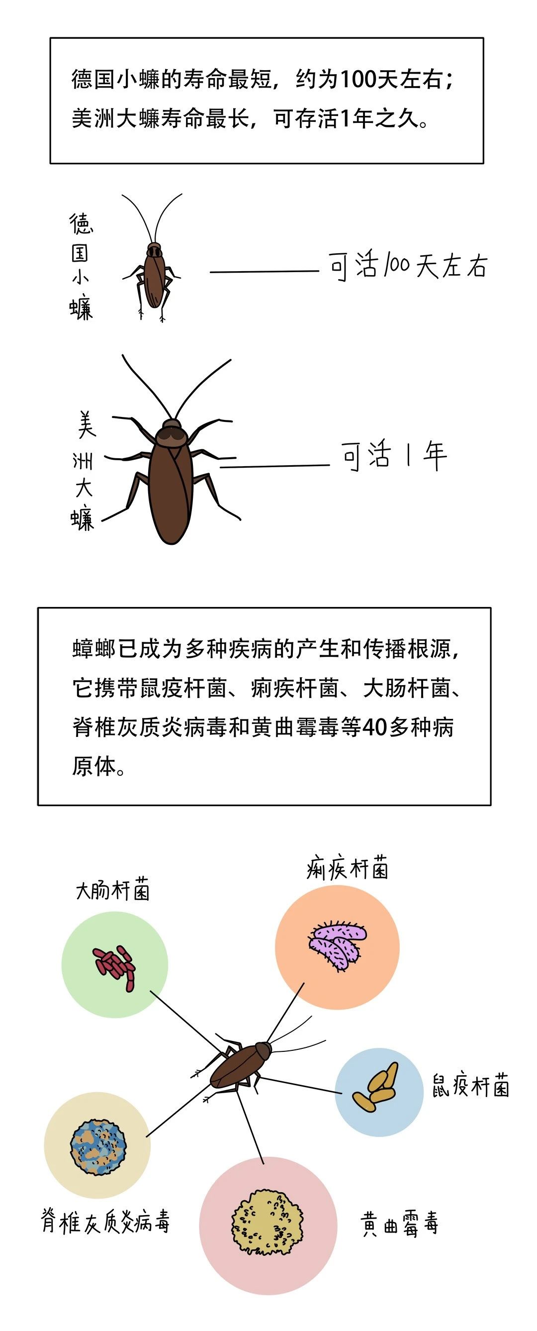 微信图片_20250629191227.jpg