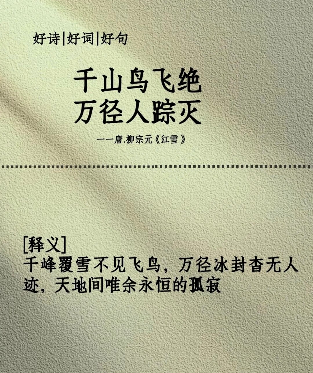175129305317344946.jpg