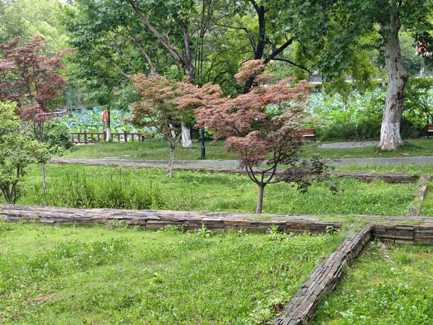 20250701142338front1_0_402689_Fg4RF6EDCHAwA0SdWjRRYXey4n3w.jpg