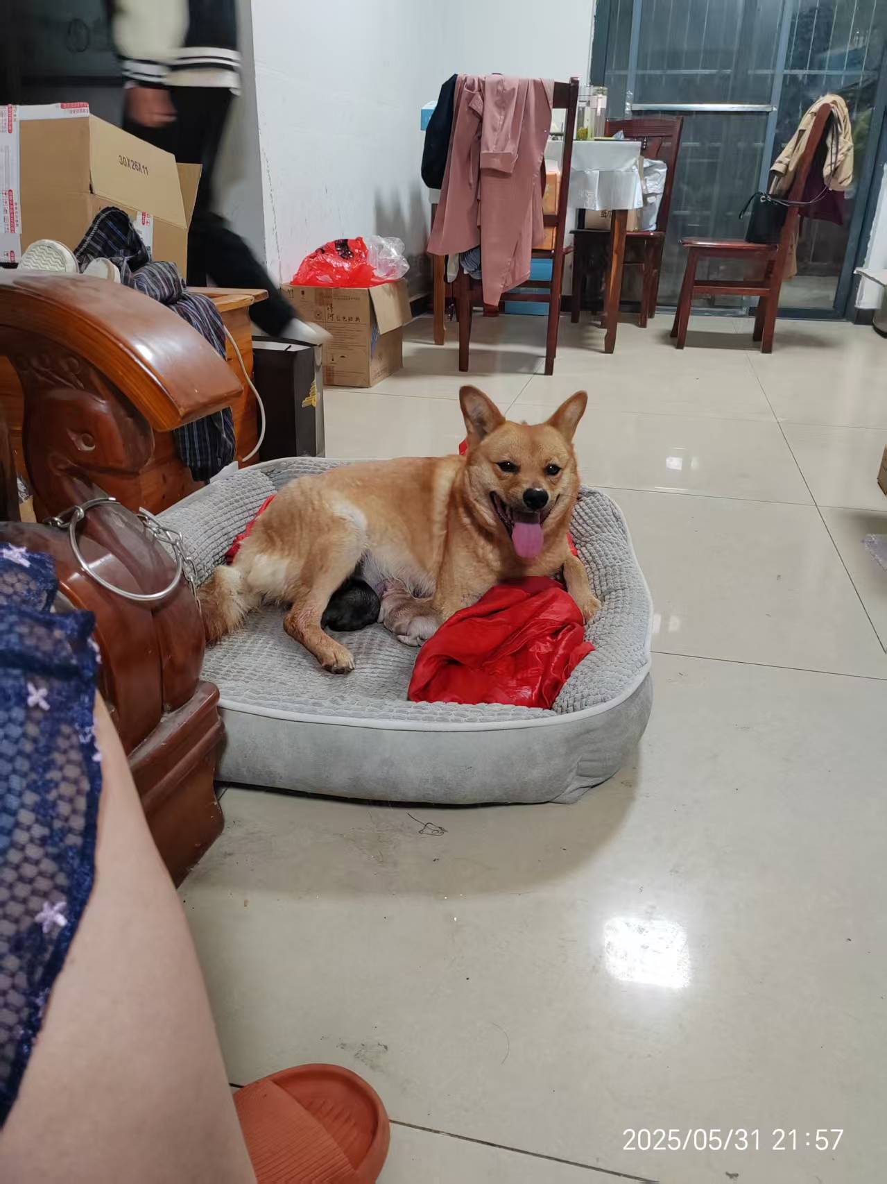 微信图片_20250702083437.jpg