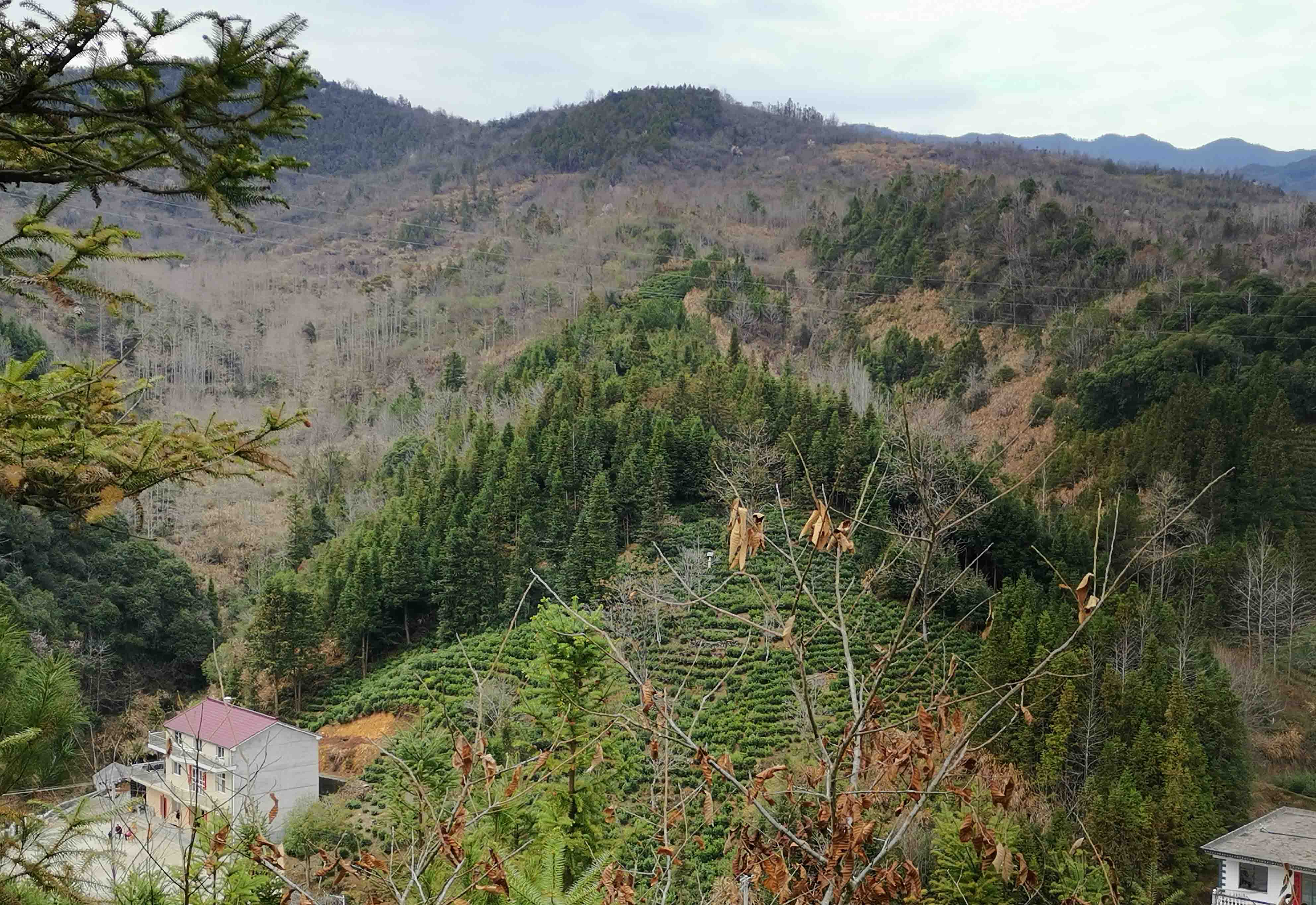 毛山上