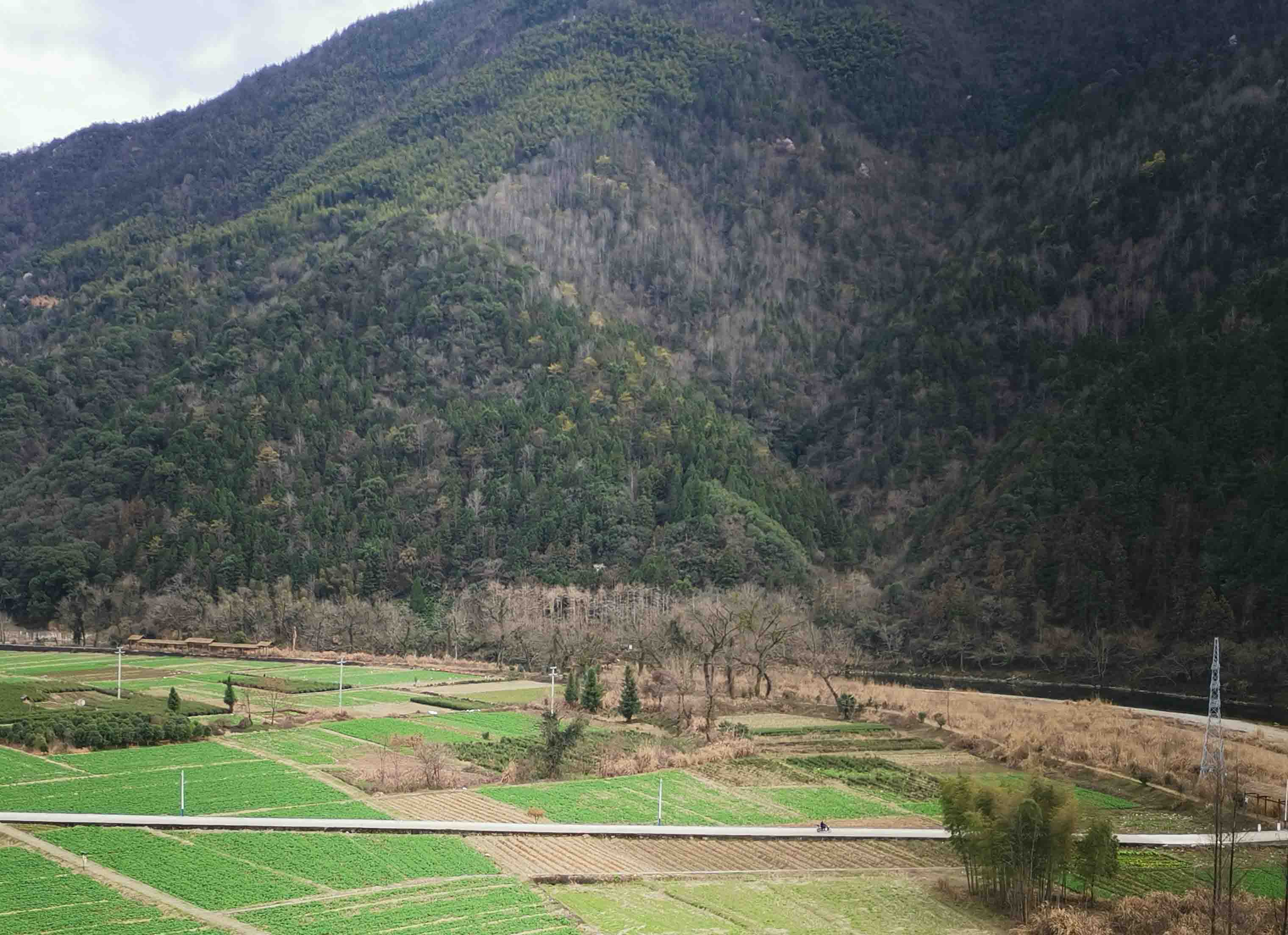 远望春岭坑