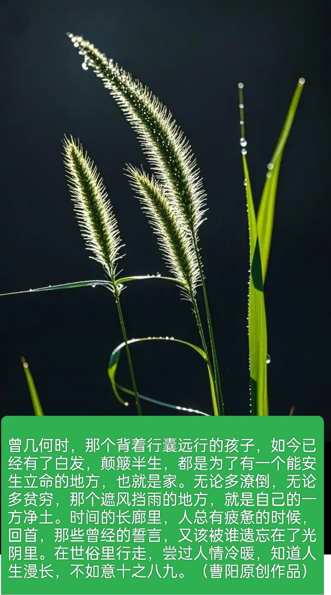 20250706095803front2_0_294866_FpzzQWRVectBAV16r7zBntA_BK9x.jpg