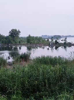 fc6040555810cc6a0c99c64ee8c070a.jpg