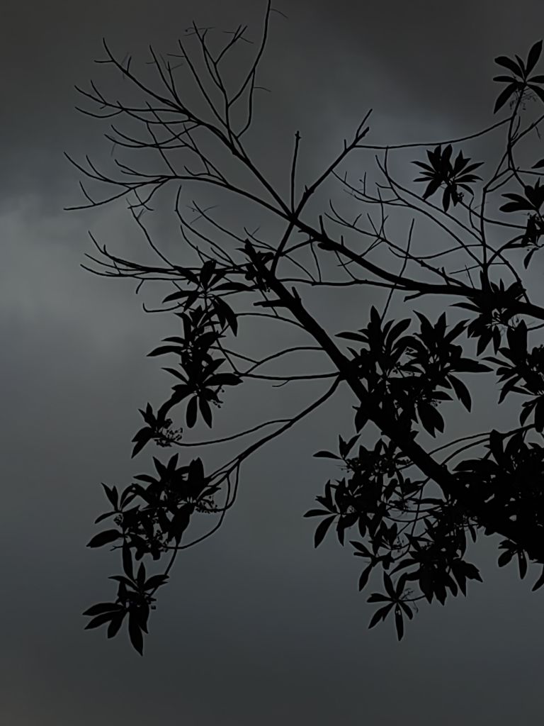 20250709092022front2_0_198517_FqFDZsw-l8aMVA7FeoLqJLIge-9A.jpg