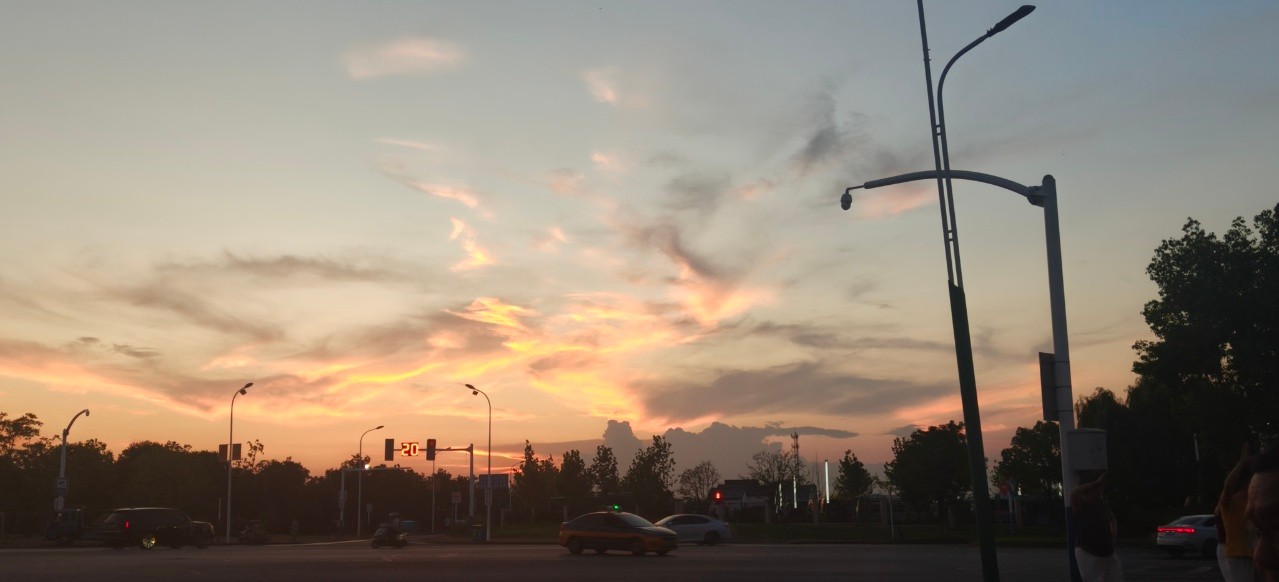 175206019456323717.jpg