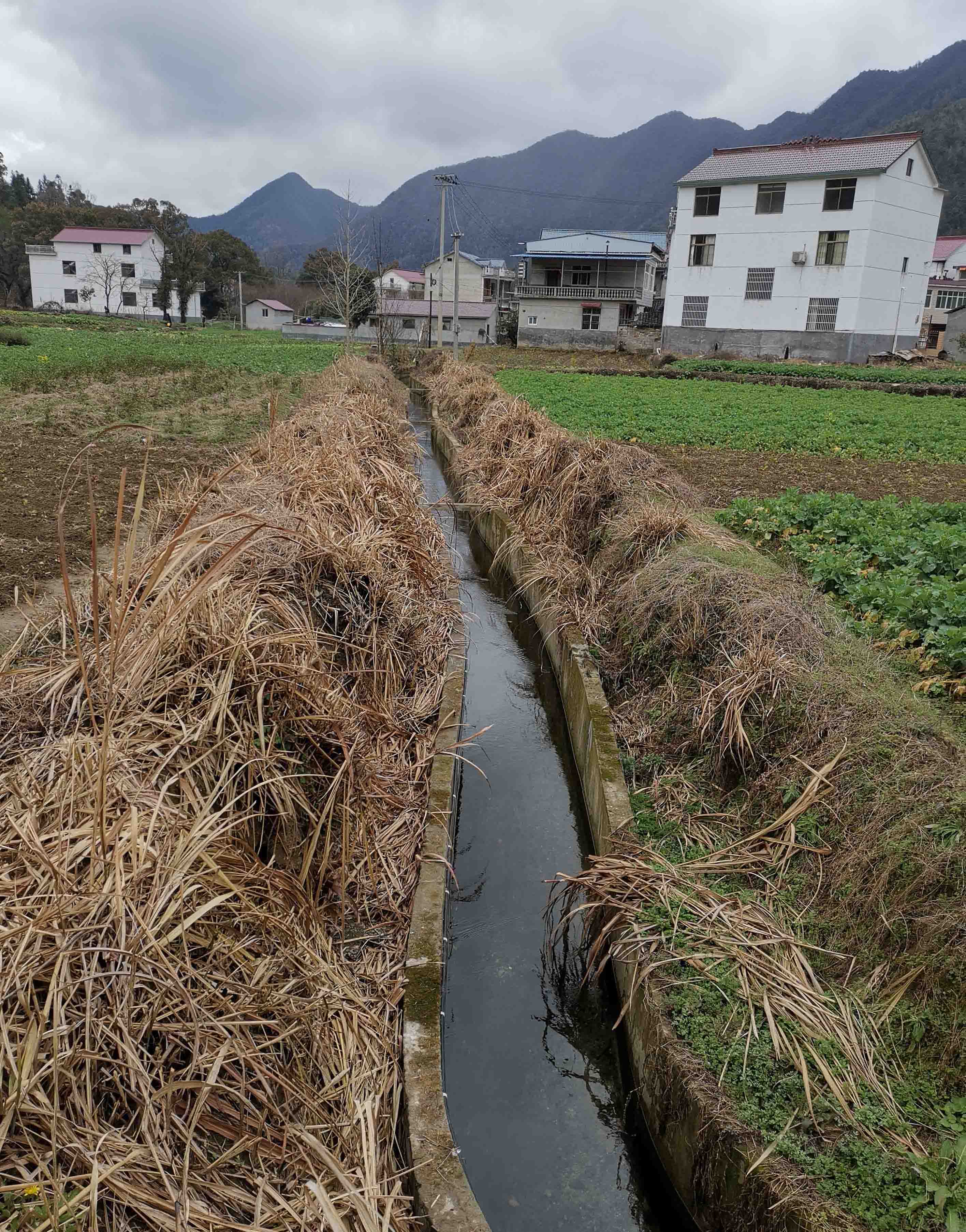 陈田墩上