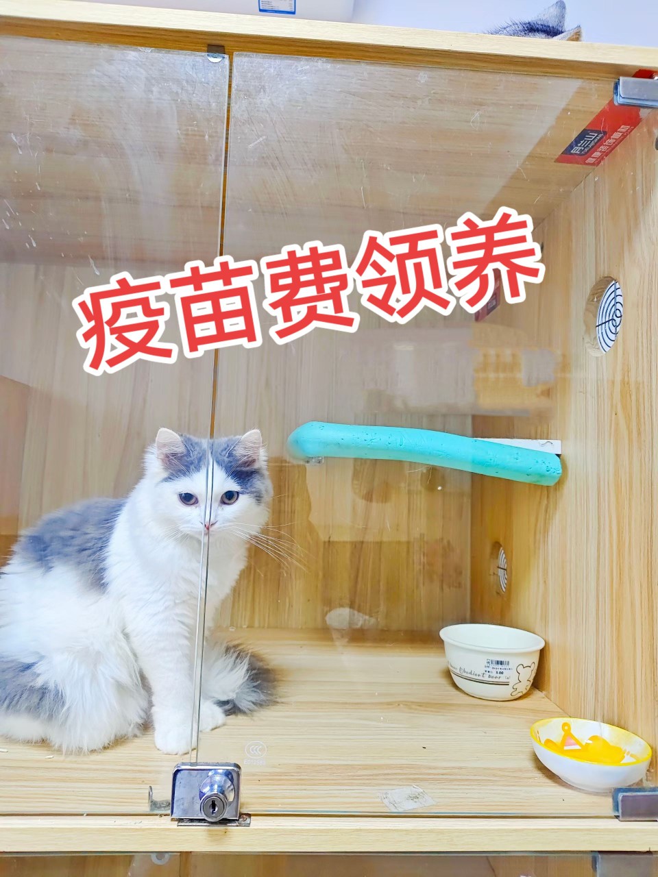 20250718142026front2_0_407188_Fnk18BtEbnT5uKnuw8s5H8K_d1sd.jpg