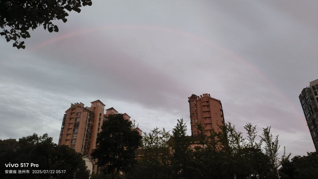20250722052435front2_0_78822_FnJVdnyqjUHcDHW-kmbD8kh2LgEu.jpg