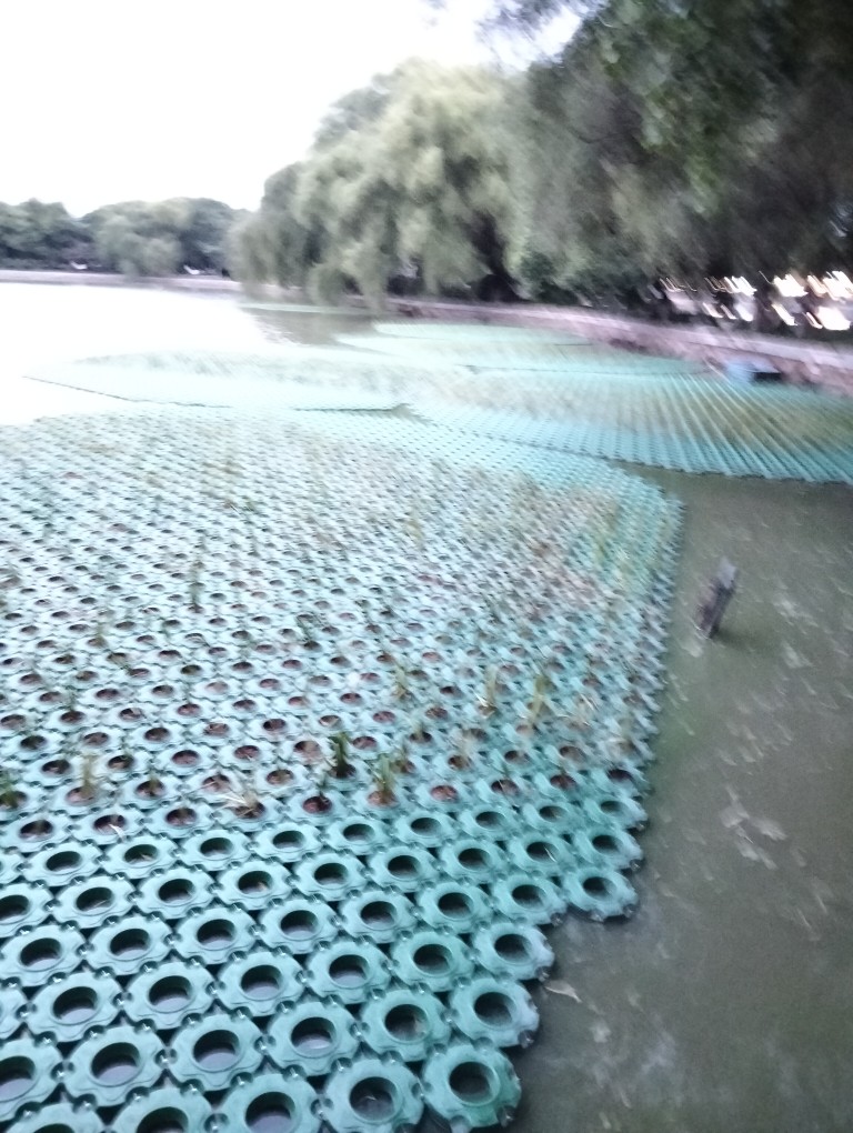 20250722194620front2_0_242240_Frl9JMQrVfa0cA78uo4DydDvCjEA.jpg
