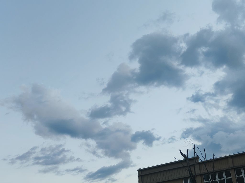 20250724191428front2_0_277847_Fi8zpE_YvhaKH2lvgOqbFQE9tvK8.jpg