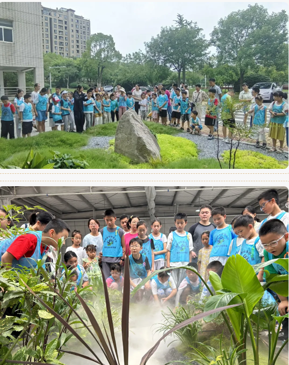QQ20250726-182921.png
